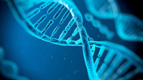 Transcription inverse de l'ARN du SARS-CoV-2 et intégration dans le génome humain