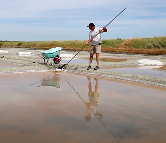 Le sel de Guérande : terroir et artisanat Le sel de Guérande : terroir et artisanat