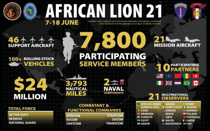 Le Lion Africain en chasse de nouvelles proies