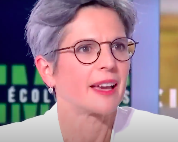 « L’homme déconstruit » : les enjeux derrière la polémique Sandrine Rousseau