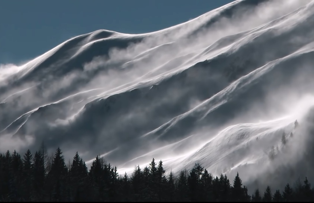 À l’affût du sauvage