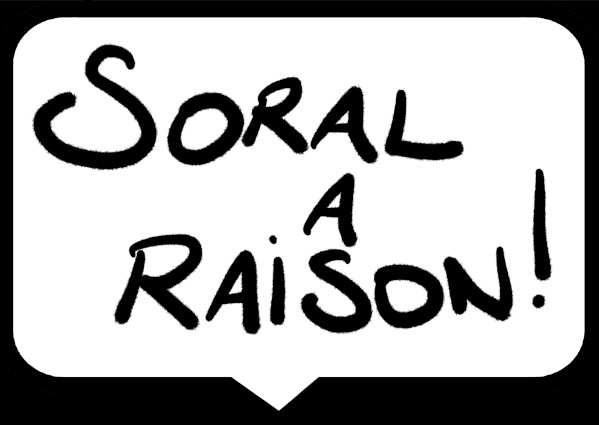 Poursuivi pour contestation de crime contre l’humanité pour avoir tagué « Soral a raison »