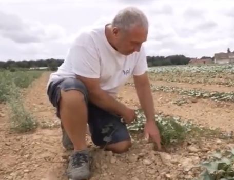L’agriculture sans eau
