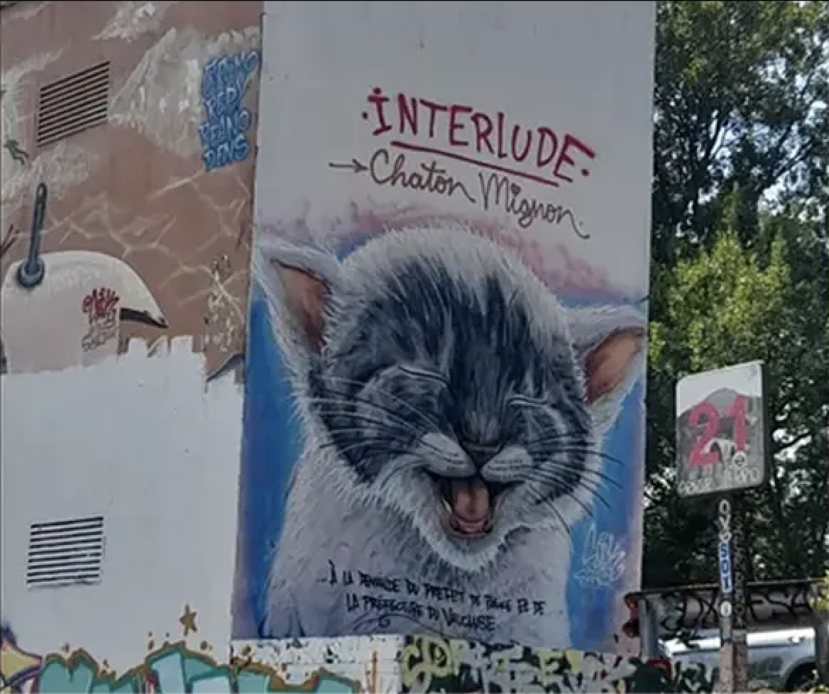 Un chaton tout mignon à la place de la fresque antisémite d’Avignon