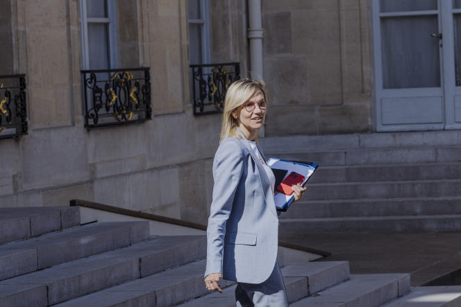 Pétrole et paradis fiscaux : les intérêts cachés de la ministre Pannier-Runacher