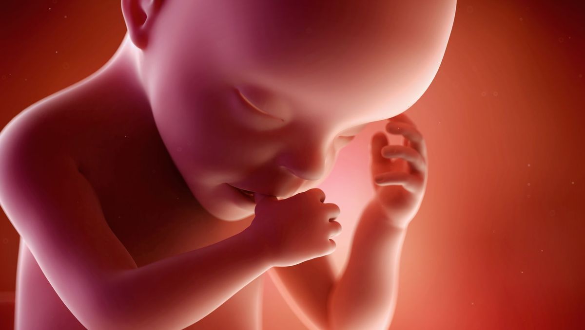 Affaire Palmade : le bébé de la femme enceinte victime de l’accident est-il bien né avant de mourir ?