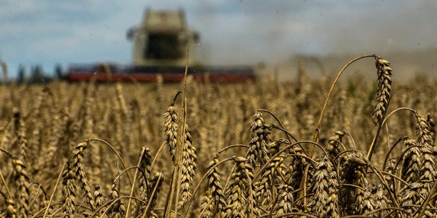Pologne et Hongrie interdisent les importations de céréales d’Ukraine pour protéger leurs agriculteurs