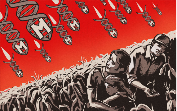 Union européenne de l’arnaque : les OGM deviennent des NGT