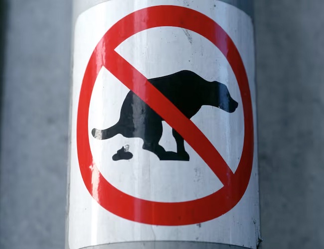 Béziers : fichage ADN des chiens pour lutter contre les déjections canines