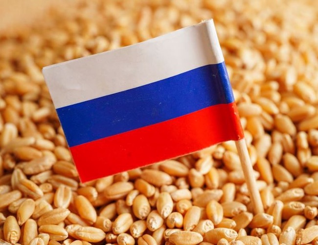Poutine annonce que la Russie remplacera les céréales d’Ukraine à destination de l’Afrique