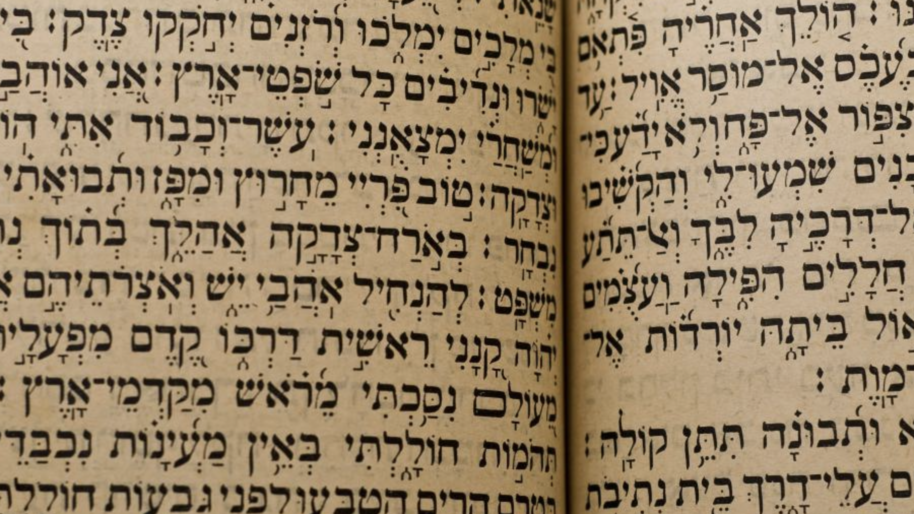 L’épuration ethnique en Terre sainte, de la Bible hébraïque à nos jours L’épuration ethnique en Terre sainte, de la Bible hébraïque à nos jours