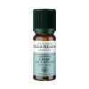 Huile essentielle de Cèdre de l'Atlas Bio - 10ml