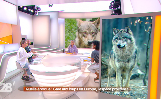 Ursula von der Leyen, dont le poney a été tué par un loup, veut l’éradiquer Ursula von der Leyen, dont le poney a été tué par un loup, veut l’éradiquer